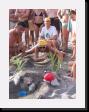 IMG_4069 * 1536 x 2048 * (1.68MB)