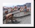 IMG_4146 * 2048 x 1536 * (1.71MB)