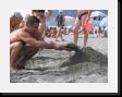 IMG_4149 * 2048 x 1536 * (1.59MB)