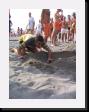 IMG_4199 * 1536 x 2048 * (1.55MB)