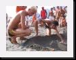 IMG_4200 * 2048 x 1536 * (1.49MB)