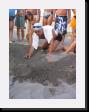 IMG_4210 * 1536 x 2048 * (1.71MB)