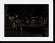 IMG_4469 * 2048 x 1536 * (804KB)