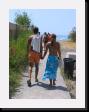 IMG_4543 * 1536 x 2048 * (1.75MB)