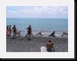IMG_4597 * 2048 x 1536 * (1.85MB)