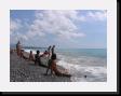 IMG_4599 * 2048 x 1536 * (1.46MB)