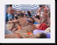 IMG_4626 * 2048 x 1536 * (1.19MB)