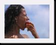 IMG_4631 * 2048 x 1536 * (977KB)
