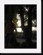 IMG_4722 * 1536 x 2048 * (1.14MB)