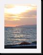 IMG_4738 * 1536 x 2048 * (1.49MB)