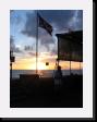 IMG_4748 * 1536 x 2048 * (1.18MB)