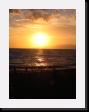 IMG_4751 * 1536 x 2048 * (1.12MB)