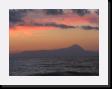 IMG_4782 * 2048 x 1536 * (670KB)