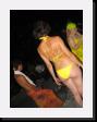 IMG_4816 * 1536 x 2048 * (1.15MB)