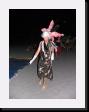 IMG_4886 * 1536 x 2048 * (1.21MB)