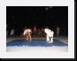 IMG_4887 * 2048 x 1536 * (1.11MB)
