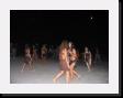 IMG_4911 * 2048 x 1536 * (1.11MB)