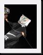 IMG_4916 * 1536 x 2048 * (905KB)