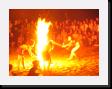 IMG_4969 * 2048 x 1536 * (1020KB)