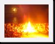 IMG_4971 * 2048 x 1536 * (1.17MB)