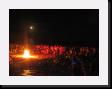IMG_4979 * 2048 x 1536 * (1.09MB)