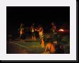 IMG_5008 * 2048 x 1536 * (835KB)