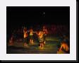 IMG_5021 * 2048 x 1536 * (841KB)