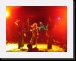 IMG_5055 * 2048 x 1536 * (1.22MB)