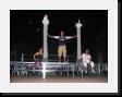IMG_5103 * 2048 x 1536 * (1.27MB)
