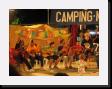IMG_5303 * 2048 x 1536 * (1.23MB)