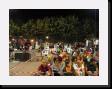 IMG_5309 * 2048 x 1536 * (1.17MB)