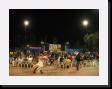 IMG_5316 * 2048 x 1536 * (1001KB)