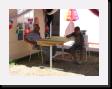 IMG_3551 * 2048 x 1536 * (1.32MB)