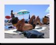 IMG_3613 * 2048 x 1536 * (1.43MB)
