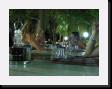 IMG_3639 * 2048 x 1536 * (970KB)