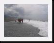 IMG_3710 * 2048 x 1536 * (1.28MB)