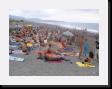 IMG_3719 * 2048 x 1536 * (1.52MB)