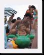 IMG_3723 * 1536 x 2048 * (1.25MB)