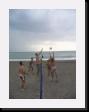 IMG_3739 * 1536 x 2048 * (1.11MB)