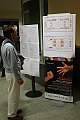 IMG_0768