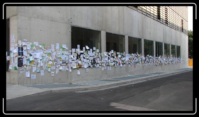 Foto successiva