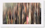 IMG_5011 * 2816 x 1584 * (2.26MB)
