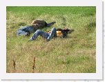 IMG_5103 * 2816 x 2112 * (4.91MB)