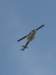 img_5370_small.jpg